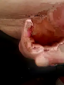 Snapshot of edivalll32 chatting on July 6, 5:48 pm edivalll32 online show from July 6, 5:48 pm