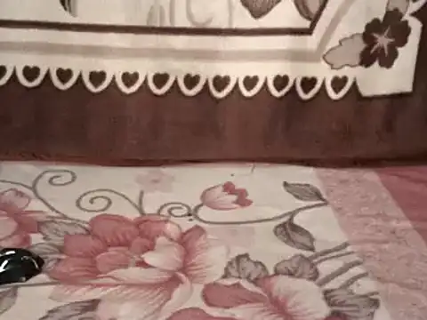 Snapshot of SWEETCANDY111 chatting on February 26, 10:36 am SWEETCANDY111 online show from February 26, 10:36 am