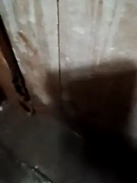 Snapshot of Raj41 chatting on September 20, 1:39 am Raj41 online show from September 20, 1:39 am