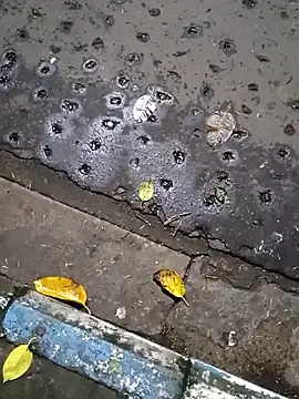 Snapshot of Raj41 chatting on September 20, 1:45 pm Raj41 online show from September 20, 1:45 pm