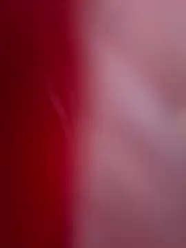 Snapshot of ALEXANDRA95 chatting on February 11, 4:44 am ALEXANDRA95 online show from February 11, 4:44 am