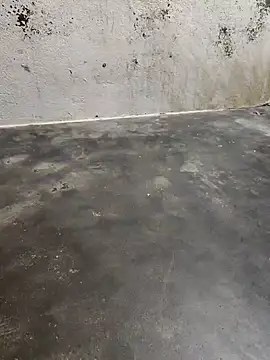 sweety006telugu online show from January 31, 10:10 am