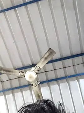 birds0641 online show from February 25, 5:52 am