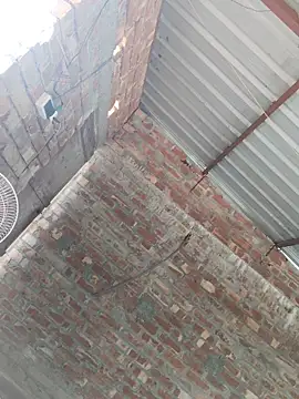 birds0641 online show from October 24, 7:49 am