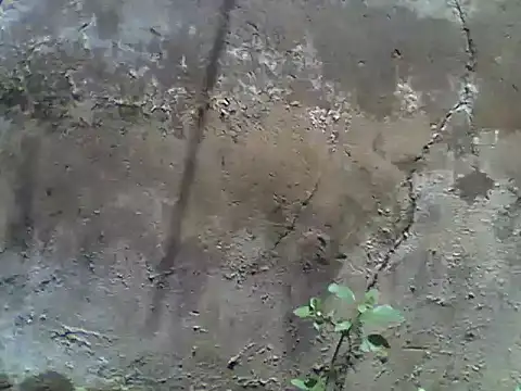 nee2526 online show from March 5, 10:00 am