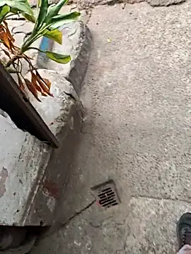 sethgamble000777 online show from December 20, 9:05 am