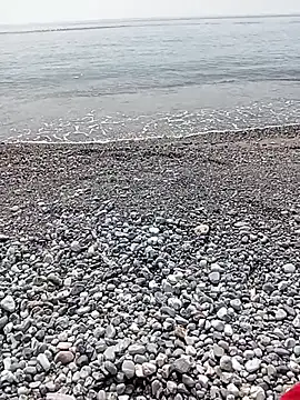 Snapshot of NAvoglia chatting on July 20, 1:46 pm NAvoglia online show from July 20, 1:46 pm