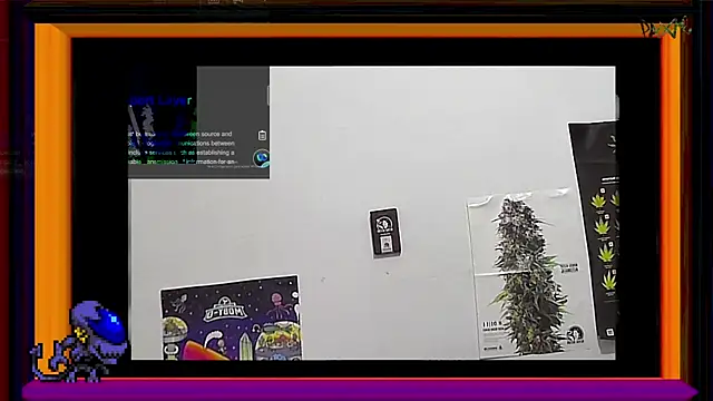 Snapshot of ReyDeBotones chatting on March 14, 9:00 pm ReyDeBotones online show from March 14, 9:00 pm