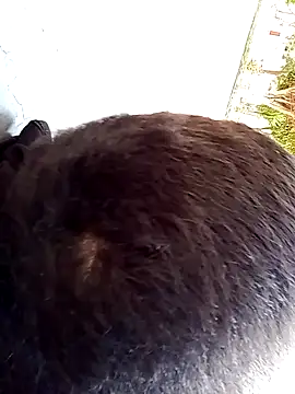 Snapshot of Elgroney23 chatting on December 19, 4:58 pm Elgroney23 online show from December 19, 4:58 pm