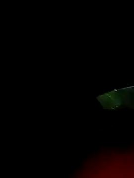 Snapshot of ginger_1_1 chatting on March 18, 12:38 am ginger 1 1 online show from March 18, 12:38 am