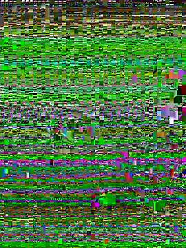 Uncleuncutmushroom online show from July 14, 7:57 am