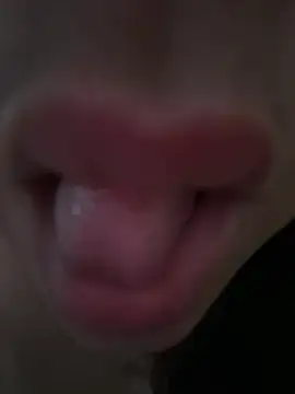 daianaspencer online show from April 13, 6:08 am