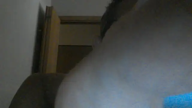 Snapshot of eccomi6996 chatting on June 25, 8:52 am eccomi6996 online show from June 25, 8:52 am