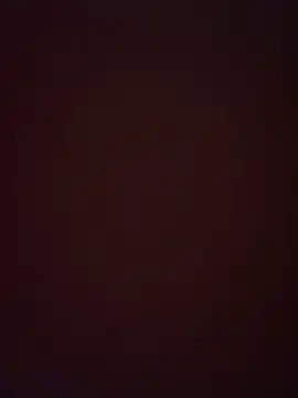 bbghuokl online show from March 7, 1:30 pm