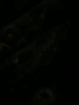 Snapshot of leonard__123 chatting on February 6, 10:10 pm leonard 123 online show from February 6, 10:10 pm