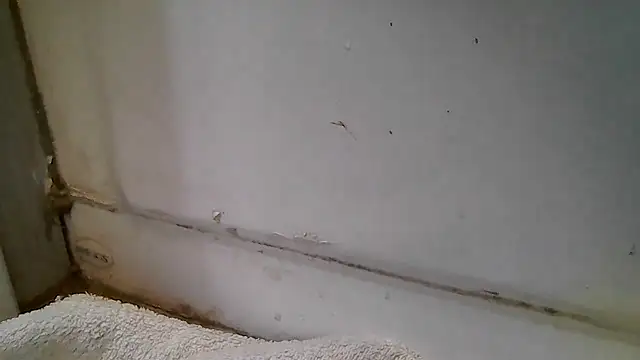 ShysluutGia online show from December 15, 11:47 am