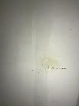 Snapshot of Hamza-Maroki chatting on November 21, 10:08 pm Hamza-Maroki online show from November 21, 10:08 pm