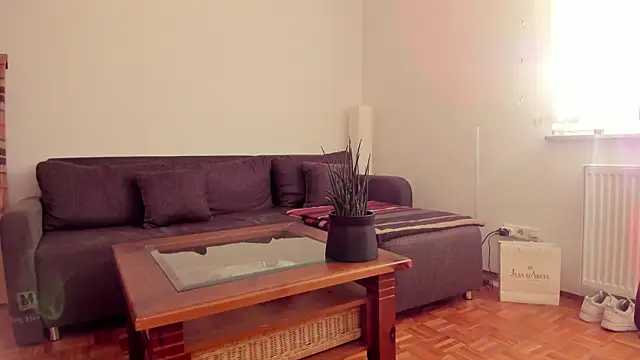 molicaremolicare online show from November 6, 7:31 am