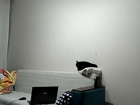 Snapshot of BellBort chatting on March 3, 7:42 pm BellBort online show from March 3, 7:42 pm