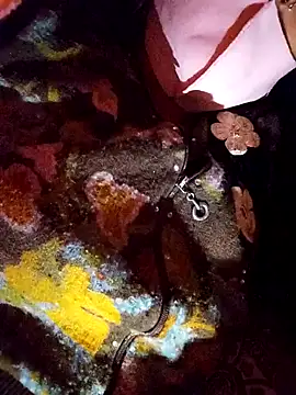 Snapshot of PPP_25 chatting on November 14, 1:54 pm PPP 25 online show from November 14, 1:54 pm