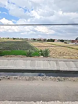 Loly2025 online show from April 7, 1:22 pm