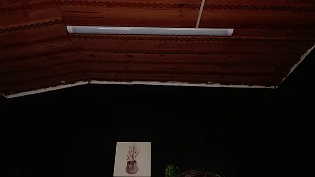 fyreandfox  online show from November 18, 6:56 pm