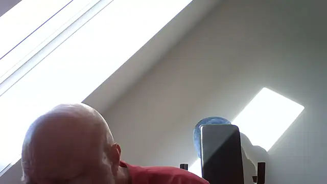 Lucifer29cm online show from October 31, 11:44 am