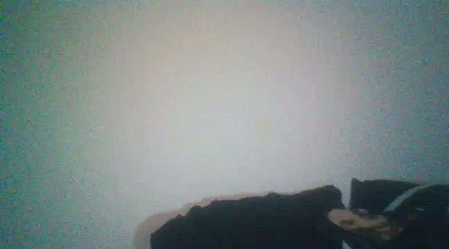 Snapshot of Otravidacol chatting on February 20, 1:46 am Otravidacol online show from February 20, 1:46 am