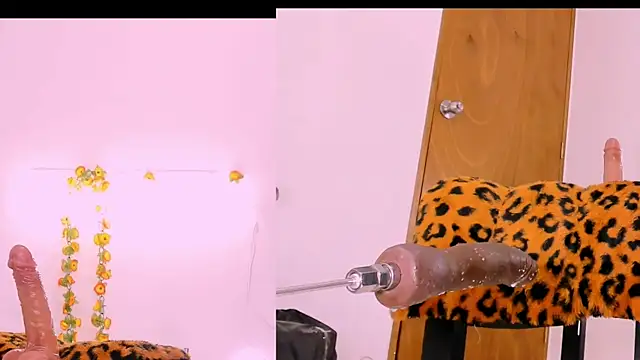 Karol Rossee online show from February 26, 10:31 pm