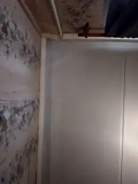 AliniX online show from March 7, 10:23 am