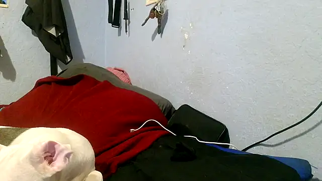 Snapshot of PornStro921 chatting on May 3, 4:02 pm PornStro921 online show from May 3, 4:02 pm