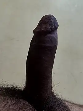 alkhabiir online show from January 8, 8:44 pm