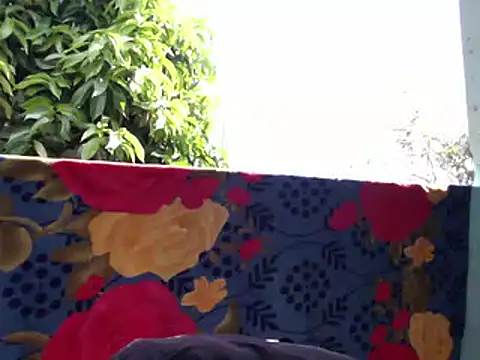 Ladyzee25 online show from February 6, 3:04 pm