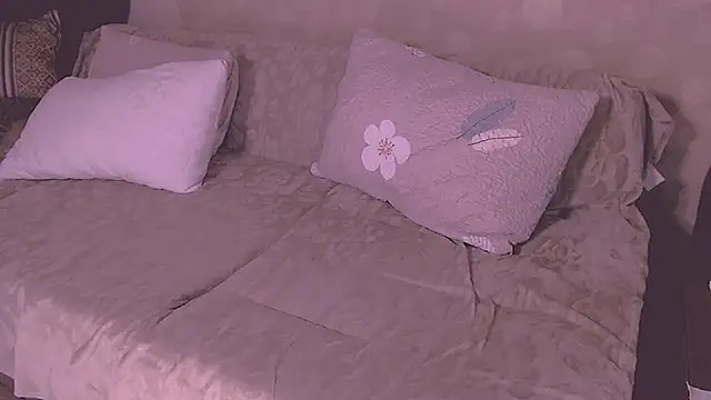 Snapshot of SoftLia chatting on May 24, 10:26 pm SoftLia online show from May 24, 10:26 pm