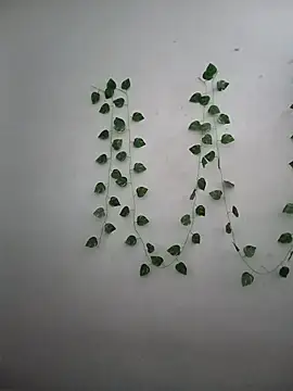 Snapshot of Neha-Bhabhi-Rasily chatting on December 17, 7:47 am Neha-Bhabhi-Rasily online show from December 17, 7:47 am