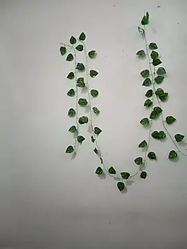 Snapshot of Neha-Bhabhi-Rasily chatting on February 22, 9:08 am Neha-Bhabhi-Rasily online show from February 22, 9:08 am