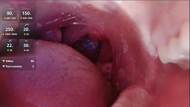 honey113 online show from November 13, 12:26 pm