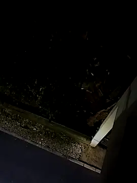 BUTTerflyTODAY online show from April 22, 1:52 am