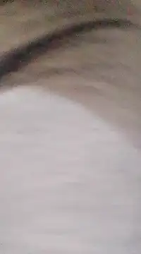 Snapshot of patrona_sexooo chatting on March 9, 8:42 pm patrona sexooo online show from March 9, 8:42 pm