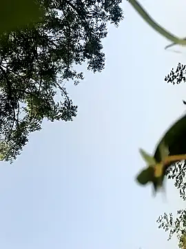 himvilohi08 online show from October 22, 10:26 am