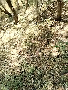 himvilohi08 online show from March 22, 7:12 am