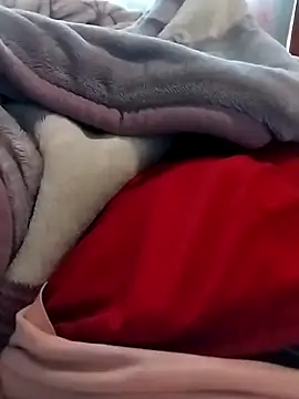 Snapshot of Thakgiey chatting on March 16, 11:47 am Thakgiey online show from March 16, 11:47 am