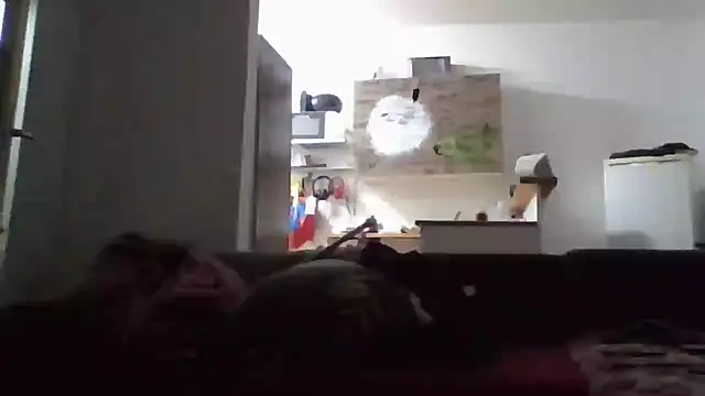 Snapshot of ThePython666 chatting on November 17, 5:08 pm ThePython666 online show from November 17, 5:08 pm