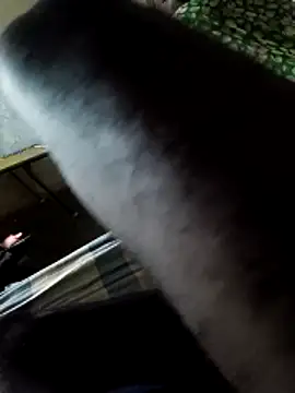 Snapshot of PolarFriend0 chatting on February 14, 4:37 pm PolarFriend0 online show from February 14, 4:37 pm