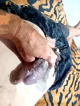 Snapshot of Dglo0000 chatting on November 30, 8:51 am Dglo0000 online show from November 30, 8:51 am