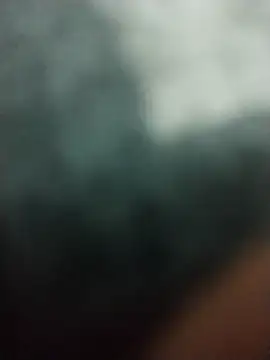 Elonmo online show from March 6, 12:45 pm