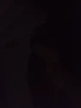 Snapshot of Sexxoophone chatting on July 3, 3:35 am Sexxoophone online show from July 3, 3:35 am