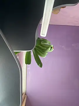 Soft Pleasure online show from October 22, 10:59 am