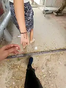 lilobaby online show from October 19, 8:53 pm