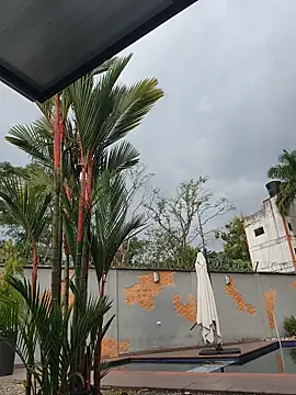 Snapshot of Yessica_Lopezz chatting on February 13, 12:23 pm Yessica Lopezz online show from February 13, 12:23 pm